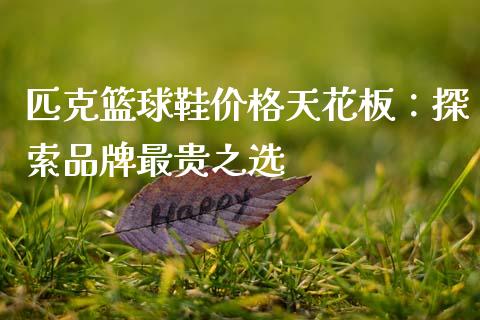 匹克篮球鞋价格天花板：探索品牌最贵之选_https://cj006.lansai.wang_期货开户_第1张