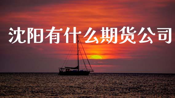 沈阳有什么期货公司_https://cj006.lansai.wang_财经新闻_第1张