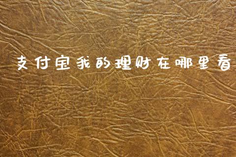 支付宝我的理财在哪里看_https://cj006.lansai.wang_财经新闻_第1张