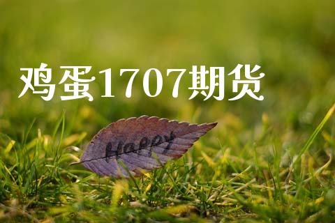 鸡蛋1707期货_https://cj006.lansai.wang_金融监管_第1张