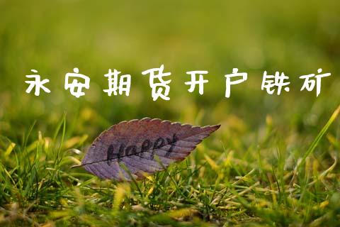 永安期货开户铁矿_https://cj006.lansai.wang_期货开户_第1张