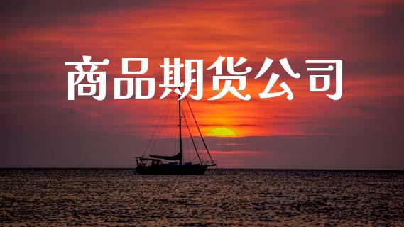 商品期货公司_https://cj006.lansai.wang_外汇交易_第1张