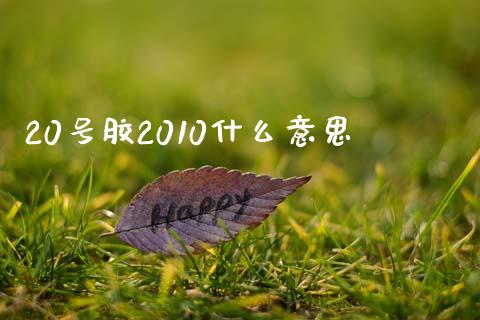 20号胶2010什么意思_https://cj006.lansai.wang_财经新闻_第1张