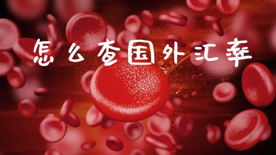 怎么查国外汇率_https://cj006.lansai.wang_期货开户_第1张