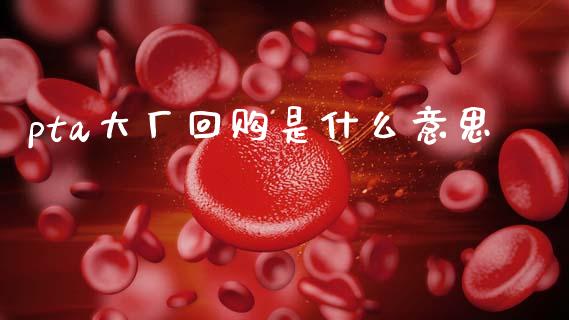 pta大厂回购是什么意思_https://cj006.lansai.wang_全球市场_第1张