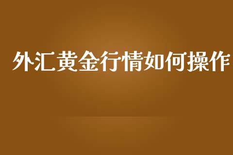 外汇黄金行情如何操作_https://cj006.lansai.wang_金融监管_第1张