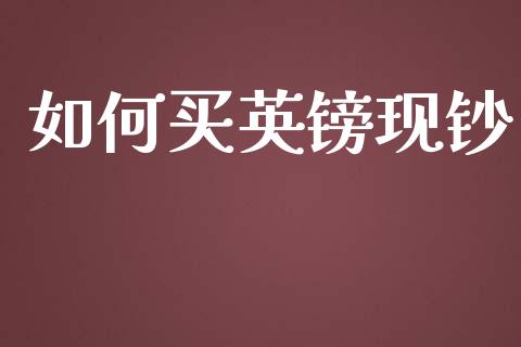 如何买英镑现钞_https://cj006.lansai.wang_全球市场_第1张