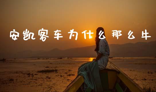 安凯客车为什么那么牛_https://cj006.lansai.wang_财经新闻_第1张
