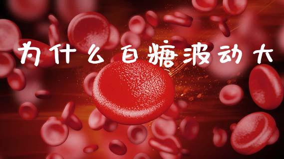 为什么白糖波动大_外汇交易_第1张_期货开户_金融监管_外汇交易_债券资讯_全球市场_财经新闻 为什么白糖波动大_https://cj006.lansai.wang_外汇交易_第1张
