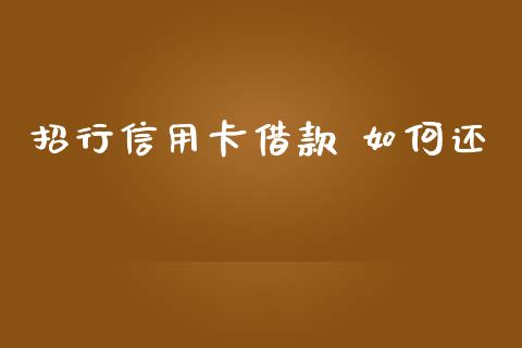招行信用卡借款 如何还_https://cj006.lansai.wang_外汇交易_第1张