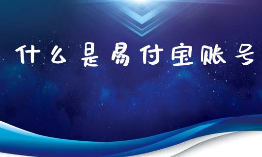 什么是易付宝账号_https://cj006.lansai.wang_财经新闻_第1张