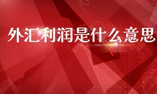外汇利润是什么意思_https://cj006.lansai.wang_债券资讯_第1张