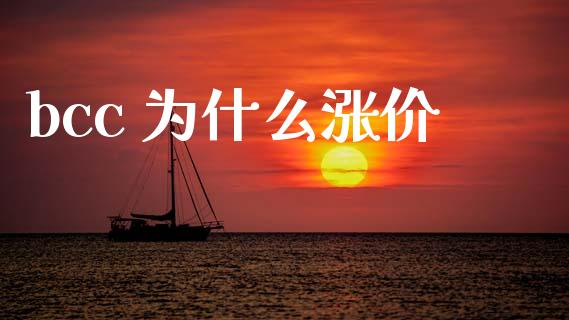 bcc 为什么涨价_https://cj006.lansai.wang_期货开户_第1张