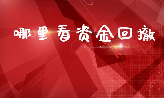 哪里看资金回撤_https://cj006.lansai.wang_外汇交易_第1张