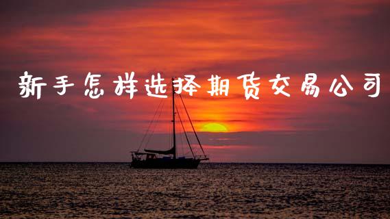 新手怎样选择期货交易公司_https://cj006.lansai.wang_财经新闻_第1张