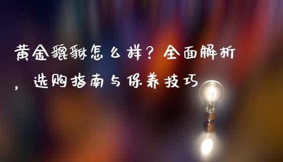 黄金貔貅怎么样？全面解析，选购指南与保养技巧_https://cj006.lansai.wang_金融监管_第1张