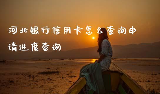 河北银行信用卡怎么查询申请进度查询_https://cj006.lansai.wang_财经新闻_第1张
