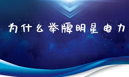 为什么举牌明星电力_https://cj006.lansai.wang_财经新闻_第1张