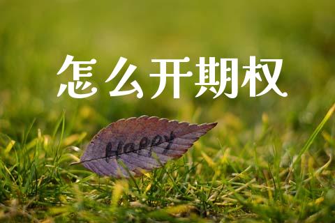 怎么开期权_https://cj006.lansai.wang_外汇交易_第1张