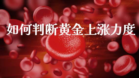 如何判断黄金上涨力度_https://cj006.lansai.wang_期货开户_第1张