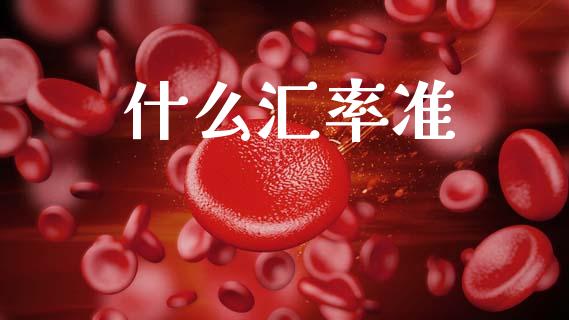 什么汇率准_https://cj006.lansai.wang_财经新闻_第1张