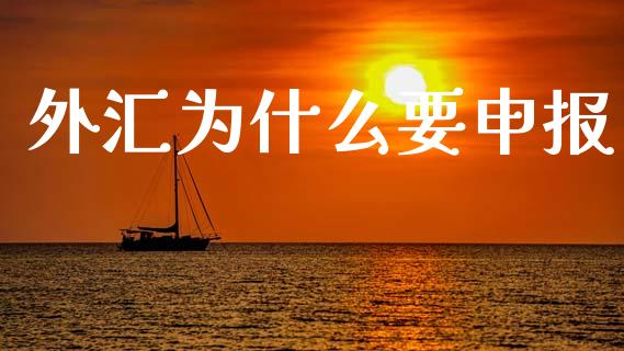 外汇为什么要申报_https://cj006.lansai.wang_期货开户_第1张