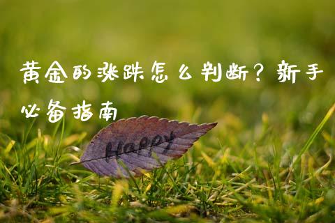 黄金的涨跌怎么判断？新手必备指南_https://cj006.lansai.wang_期货开户_第1张