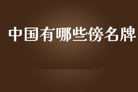 中国有哪些傍名牌_外汇交易_第1张_期货开户_金融监管_外汇交易_债券资讯_全球市场_财经新闻 中国有哪些傍名牌_https://cj006.lansai.wang_外汇交易_第1张