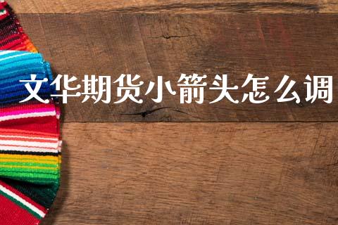 文华期货小箭头怎么调_https://cj006.lansai.wang_金融监管_第1张