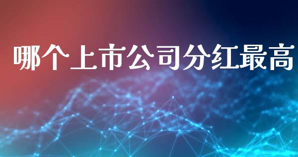 哪个上市公司分红最高_https://cj006.lansai.wang_期货开户_第1张