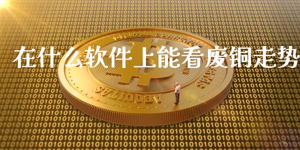 在什么软件上能看废铜走势_https://cj006.lansai.wang_全球市场_第1张