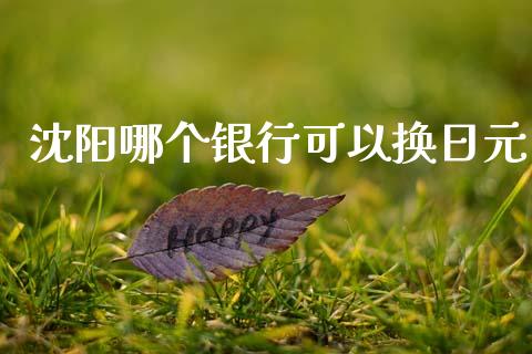 沈阳哪个银行可以换日元_https://cj006.lansai.wang_财经新闻_第1张