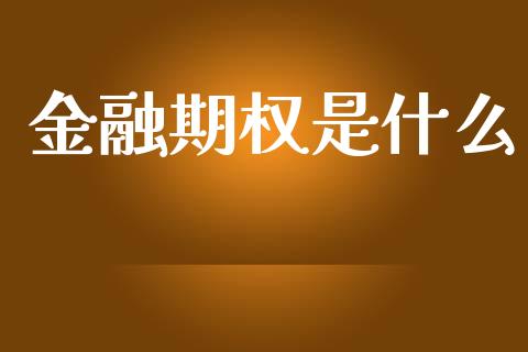 金融期权是什么_https://cj006.lansai.wang_期货开户_第1张
