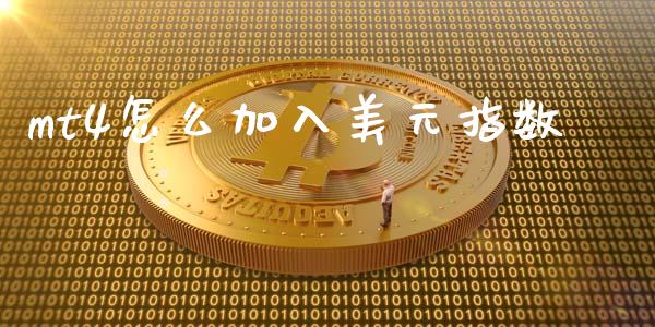 mt4怎么加入美元指数_https://cj006.lansai.wang_全球市场_第1张