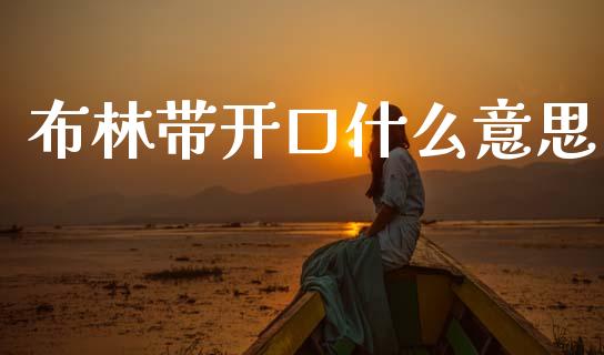 布林带开口什么意思_https://cj006.lansai.wang_外汇交易_第1张
