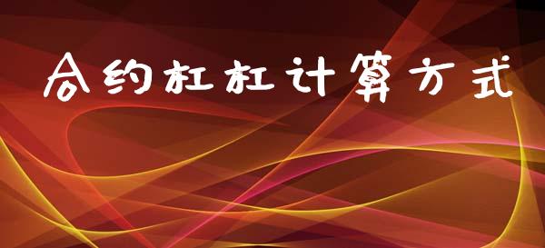 合约杠杠计算方式_https://cj006.lansai.wang_金融监管_第1张