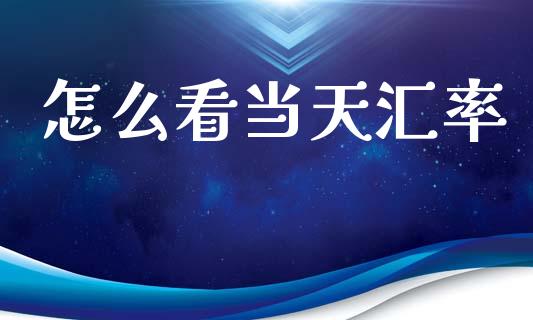 怎么看当天汇率_https://cj006.lansai.wang_外汇交易_第1张
