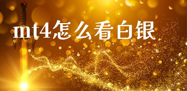 mt4怎么看白银_https://cj006.lansai.wang_期货开户_第1张