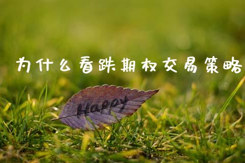 为什么看跌期权交易策略_https://cj006.lansai.wang_债券资讯_第1张