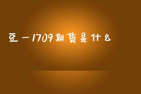 豆一1709期货是什么_https://cj006.lansai.wang_财经新闻_第1张