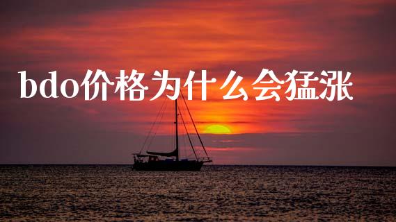 bdo价格为什么会猛涨_https://cj006.lansai.wang_外汇交易_第1张