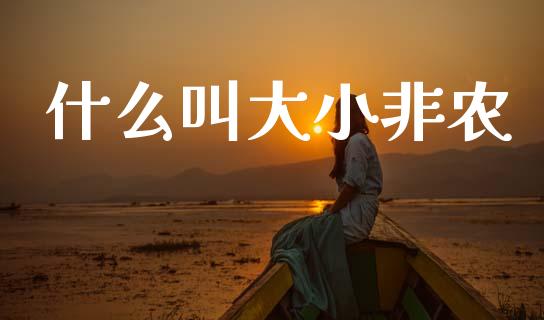 什么叫大小非农_https://cj006.lansai.wang_债券资讯_第1张