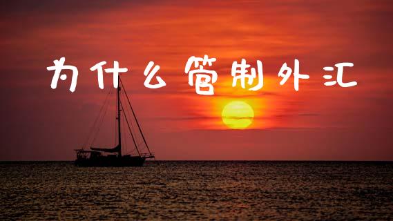 为什么管制外汇_https://cj006.lansai.wang_全球市场_第1张