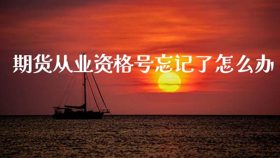 期货从业资格号忘记了怎么办_https://cj006.lansai.wang_金融监管_第1张