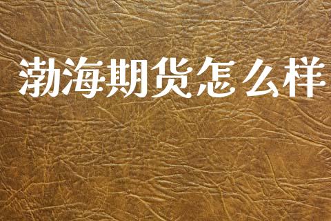渤海期货怎么样_https://cj006.lansai.wang_金融监管_第1张