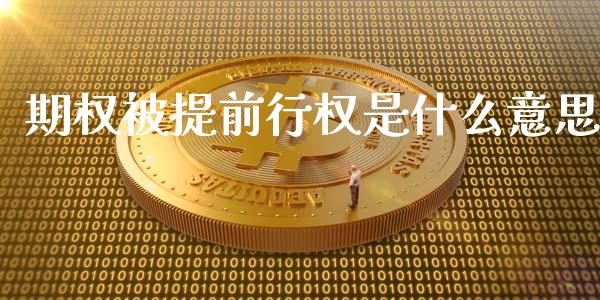 期权被提前行权是什么意思_https://cj006.lansai.wang_期货开户_第1张