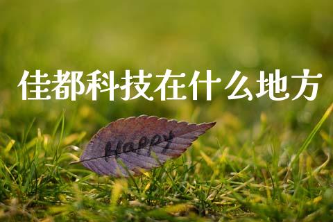 佳都科技在什么地方_https://cj006.lansai.wang_债券资讯_第1张