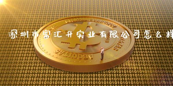 深圳市富汇升实业有限公司怎么样_https://cj006.lansai.wang_全球市场_第1张