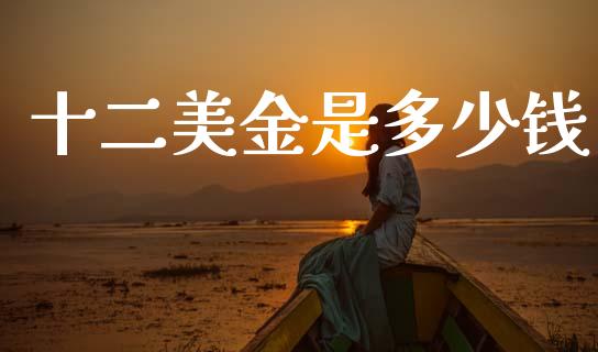 十二美金是多少钱_https://cj006.lansai.wang_金融监管_第1张