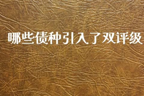 哪些债种引入了双评级_https://cj006.lansai.wang_全球市场_第1张